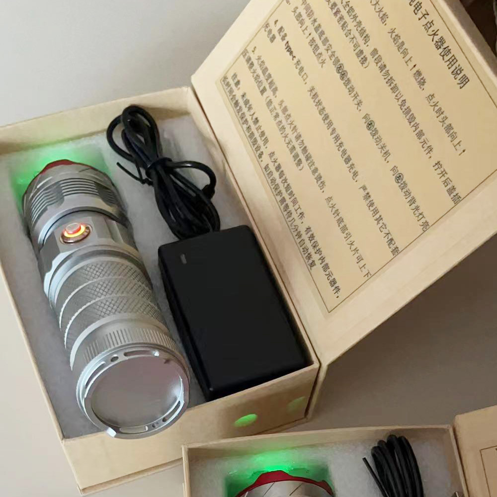 Electronic Igniter Module